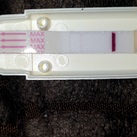 Test op testdatum pregnyl of niet  