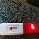 test 11dpo 