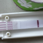11 dpo middag  