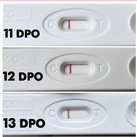 13 dpo  