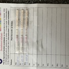 Sensitest ovulatiekalender 