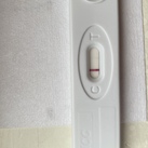 Cd 29 