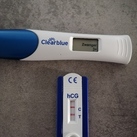 5w2d  
