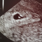 5w3d 