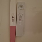 14dpo 