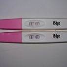 15 en 16 dpo 