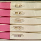 Testen ivf 17 
