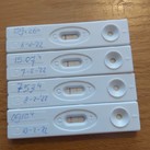 testjes kv 2 voor 4.99 euro 