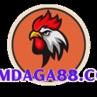  Đá gà 88 tại Xemdaga88.com là nền tảng hàng đầu cung cấp dịch vụ xem trực tiếp các sự kiện đá gà hấp dẫn. Với đội ngũ phát sóng chuyên nghiệp, chúng tôi mang đến cho người hâm mộ đá gà những trận đấu đầy kịch tính từ các đấu trường uy tín như Thomo. Xemdaga88.com không chỉ đảm bảo chất lượng hình ảnh và âm thanh tốt nhất mà còn cung cấp một trải nghiệm xem đá gà trực tuyến an toàn và thuận tiện. Hãy ghé thăm Xemdaga88.com ngay để tận hưởng những giây phút giải trí đá gà tuyệt vời!