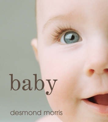 Baby (Desmond Morris)